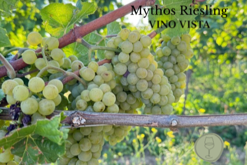 27.03.26 - Mythos Riesling – Ein Abend zwischen Tradition & Wandel | Vino Vista Hilden