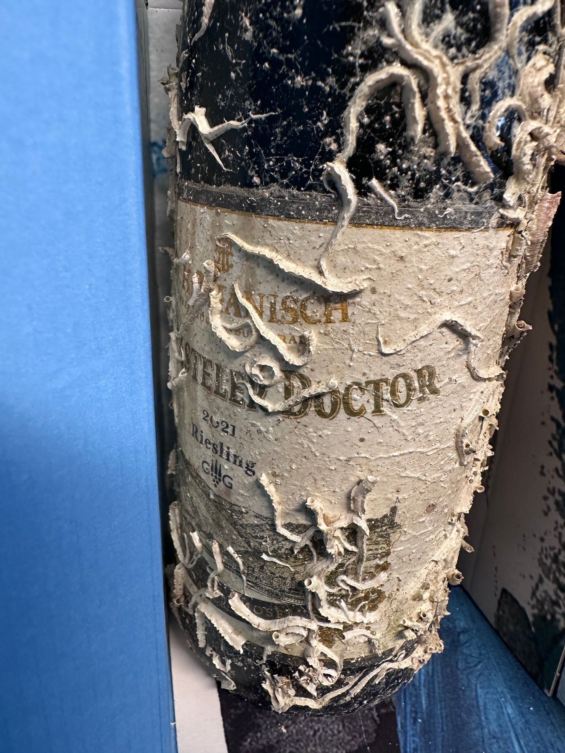 Dr. H. Thanisch Bernkasteler Doctor Riesling GG 2021 – Mosel Rarität, Vino Vista