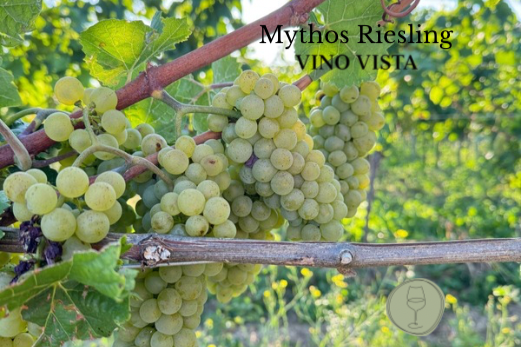 27.03.26 - Mythos Riesling – Ein Abend zwischen Tradition & Wandel